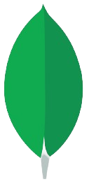 mongoDB skill
